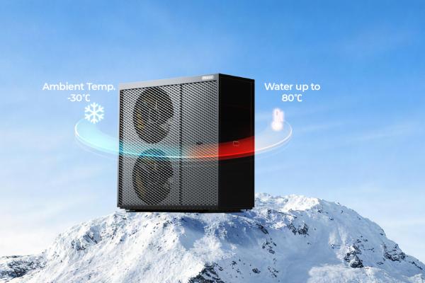 Which R290 heat pump delivers the best efficiency at -20°C outdoor temperature?