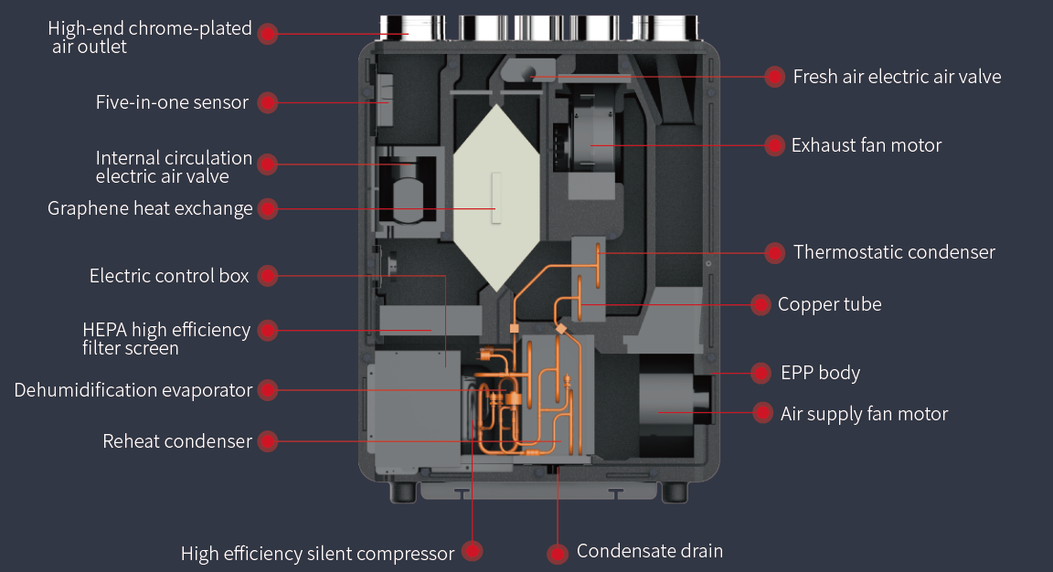 Internal Structure