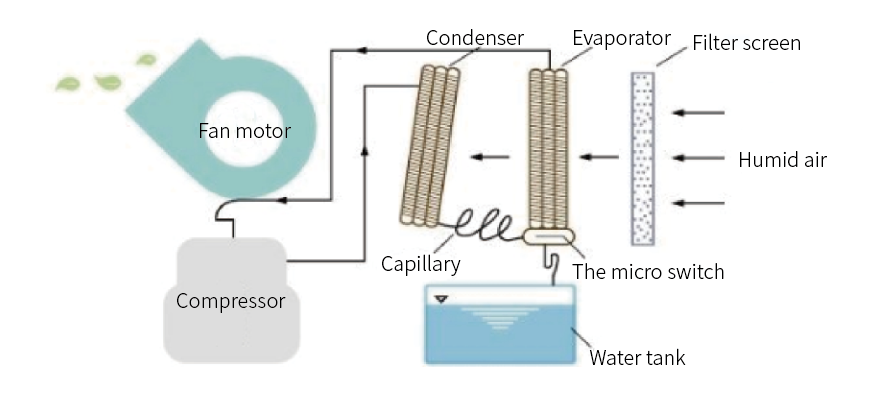 Condensation Dehumidification Principle of Heat Pump Compressor
