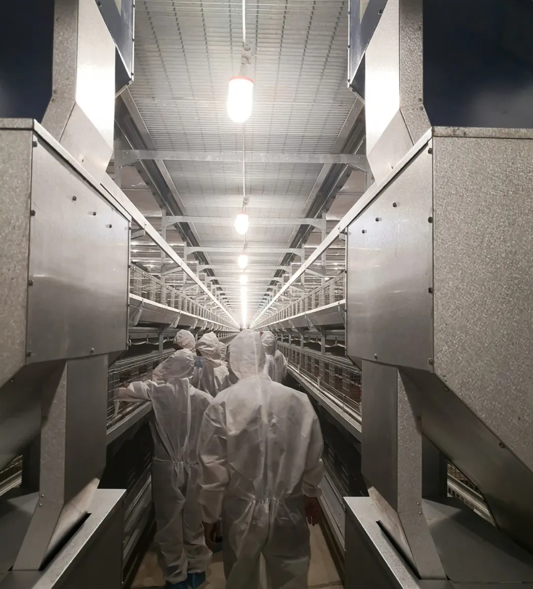 PHNIX Undertakes Heat Pump Project For The Largest Chick Breeding Farm in Asia