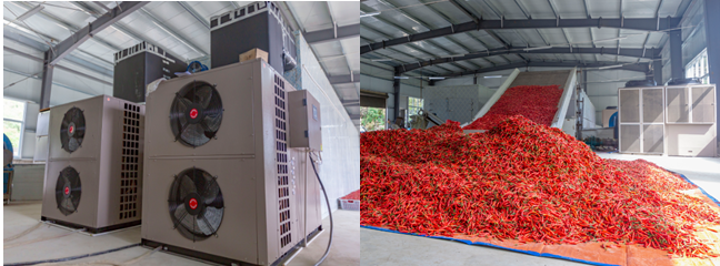 Integral fruit and vegetable drying machine - Fruit&Vegetable Dryer - China  Heat Pump Manufacturer, Air Source Heat Pump, House Heating Heat Pump, Swimming Pool Heat Pump