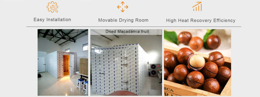 Integral fruit and vegetable drying machine - Fruit&Vegetable Dryer - China  Heat Pump Manufacturer, Air Source Heat Pump, House Heating Heat Pump, Swimming Pool Heat Pump